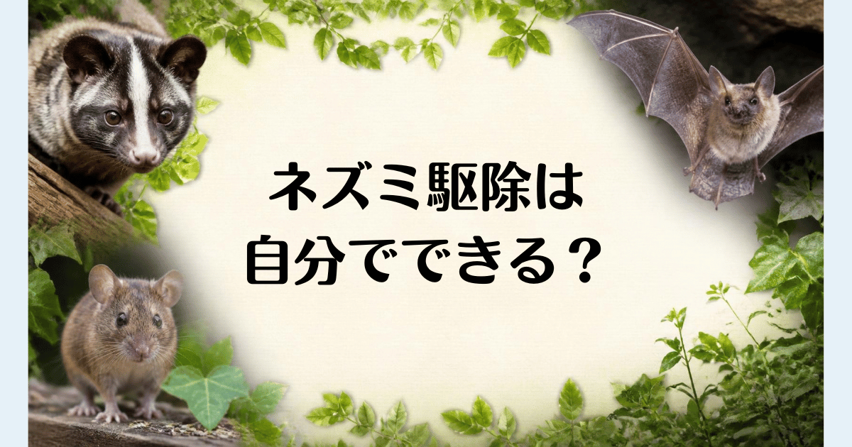 ネズミ駆除_自分で