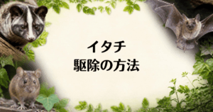 イタチ_駆除の方法