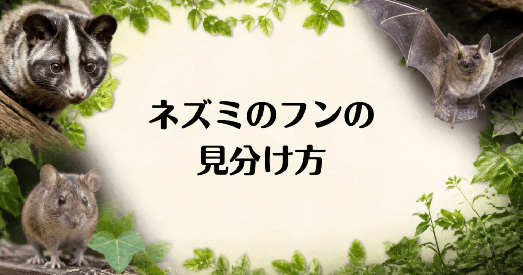 ネズミのフンの見分け方
