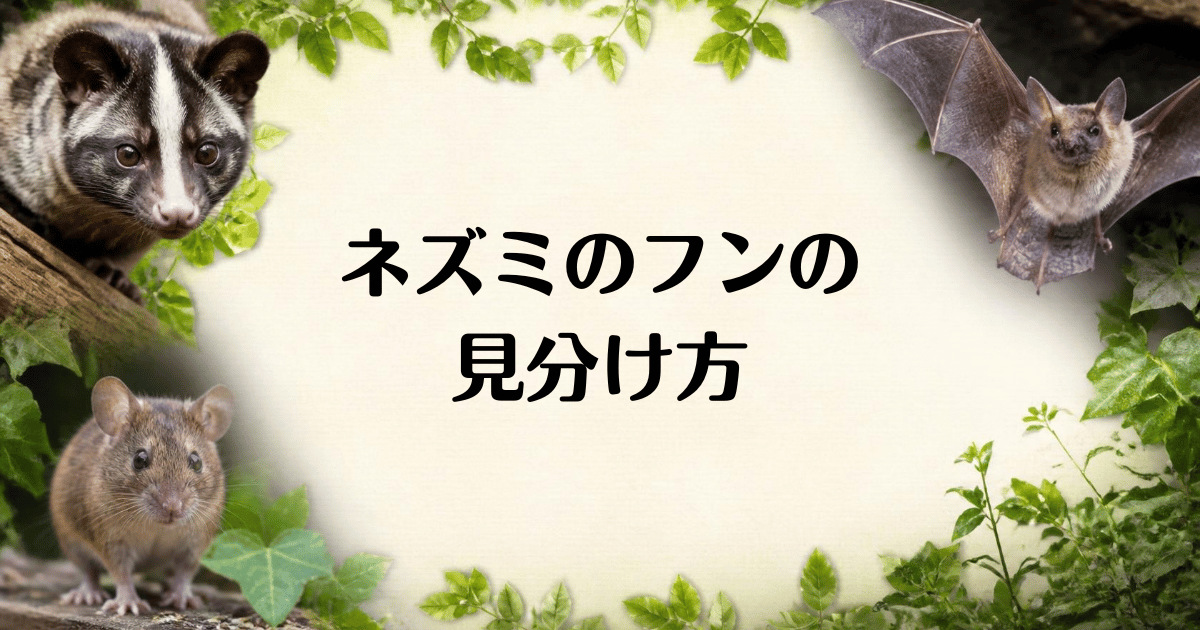 ネズミのフンの見分け方