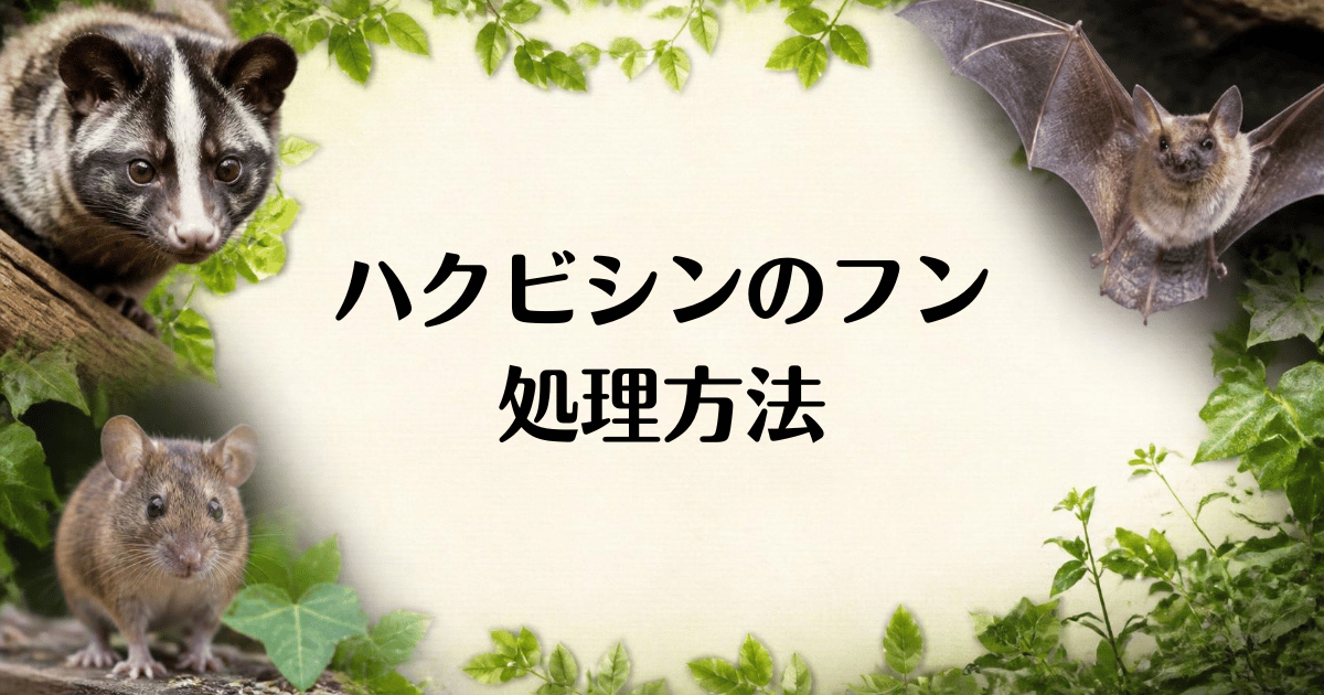 ハクビシンのフン_処理方法