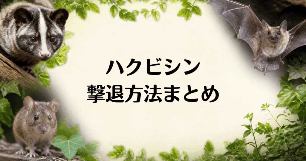 ハクビシン_撃退方法