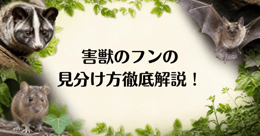 害獣のフン_見分け方