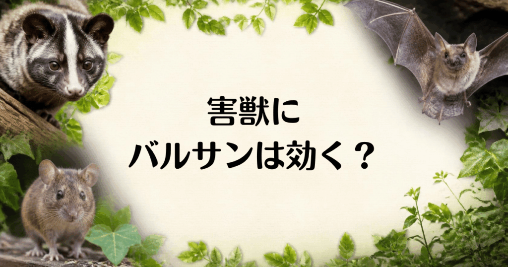 害獣_バルサン
