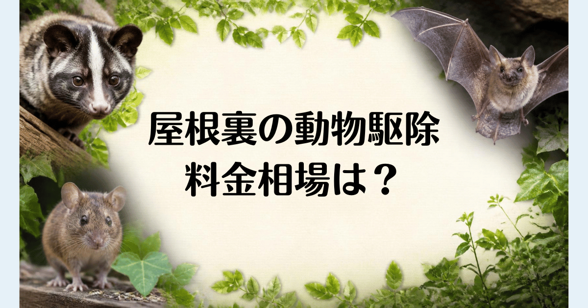 屋根裏の動物駆除_料金相場