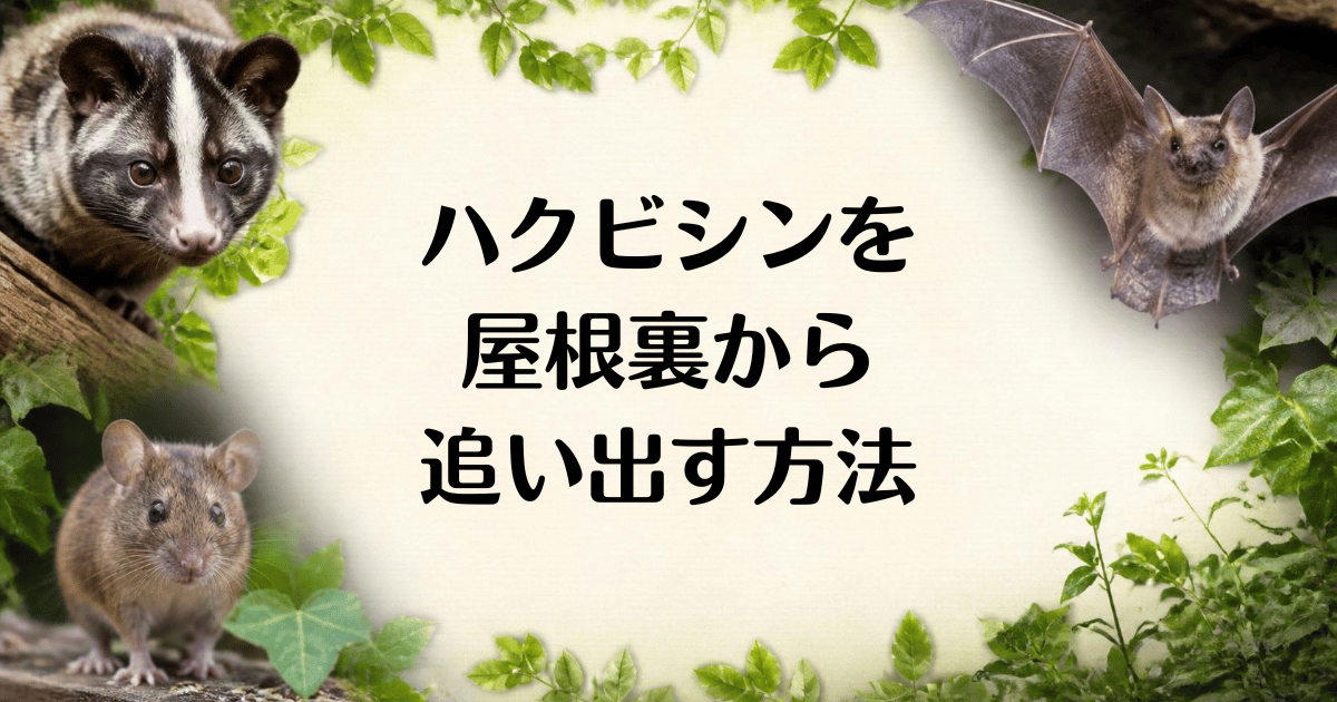 ハクビシン_屋根裏から追い出す方法