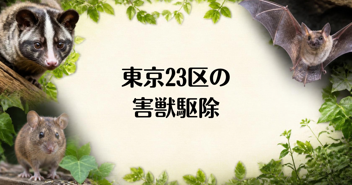 東京23区の害獣駆除