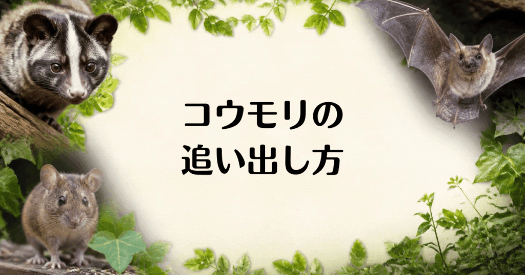 コウモリ_追い出し方