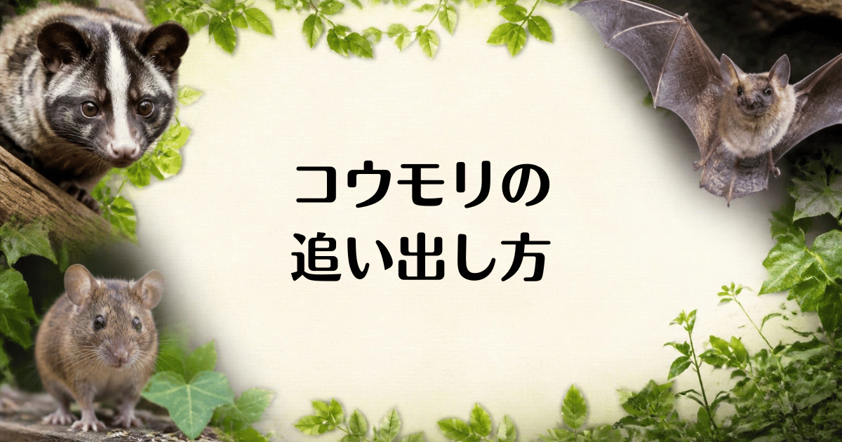 コウモリ_追い出し方