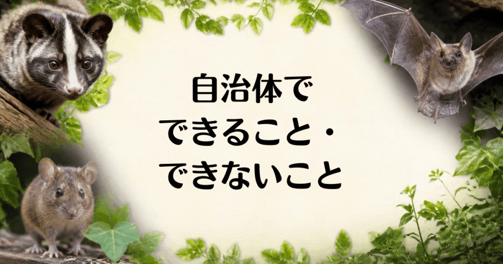 屋根裏_駆除_自治体