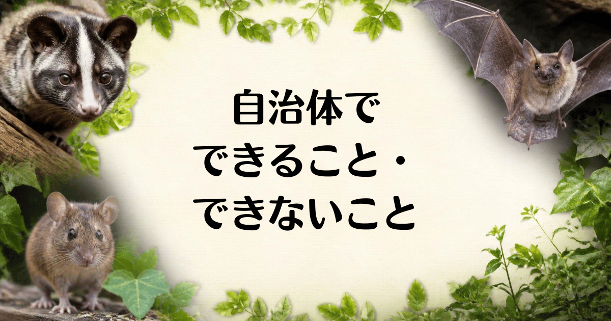 屋根裏_駆除_自治体
