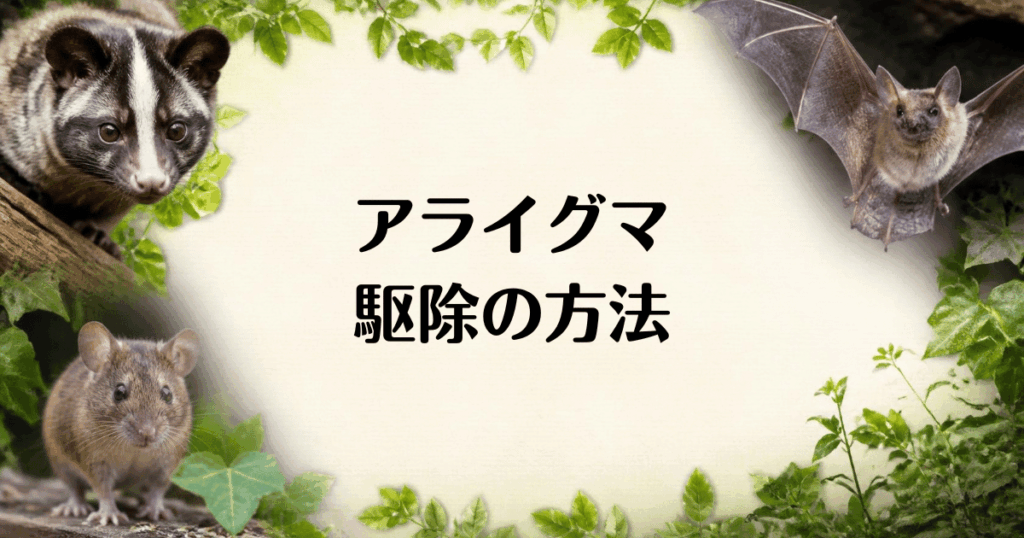 アライグマ_駆除の方法