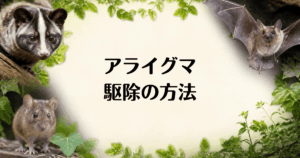 アライグマ_駆除の方法