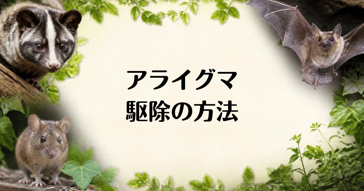 アライグマ_駆除の方法